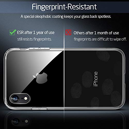Film de protection iPhone XR – ESR – Verre Trempé – Pack de 2 - Bon Plan  Mobile